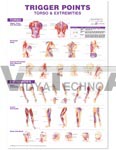 Trigger Points Giant Anatomical Chart - Torso & Extremities